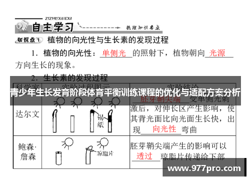 青少年生长发育阶段体育平衡训练课程的优化与适配方案分析