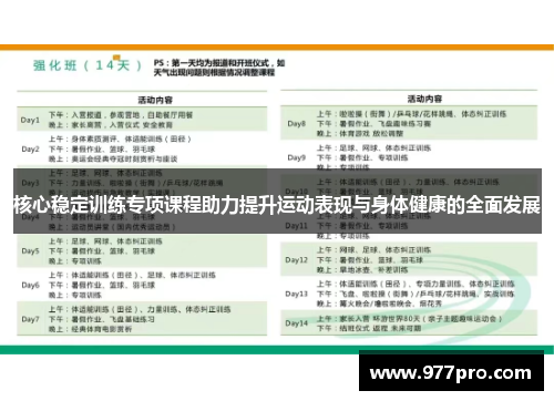 核心稳定训练专项课程助力提升运动表现与身体健康的全面发展